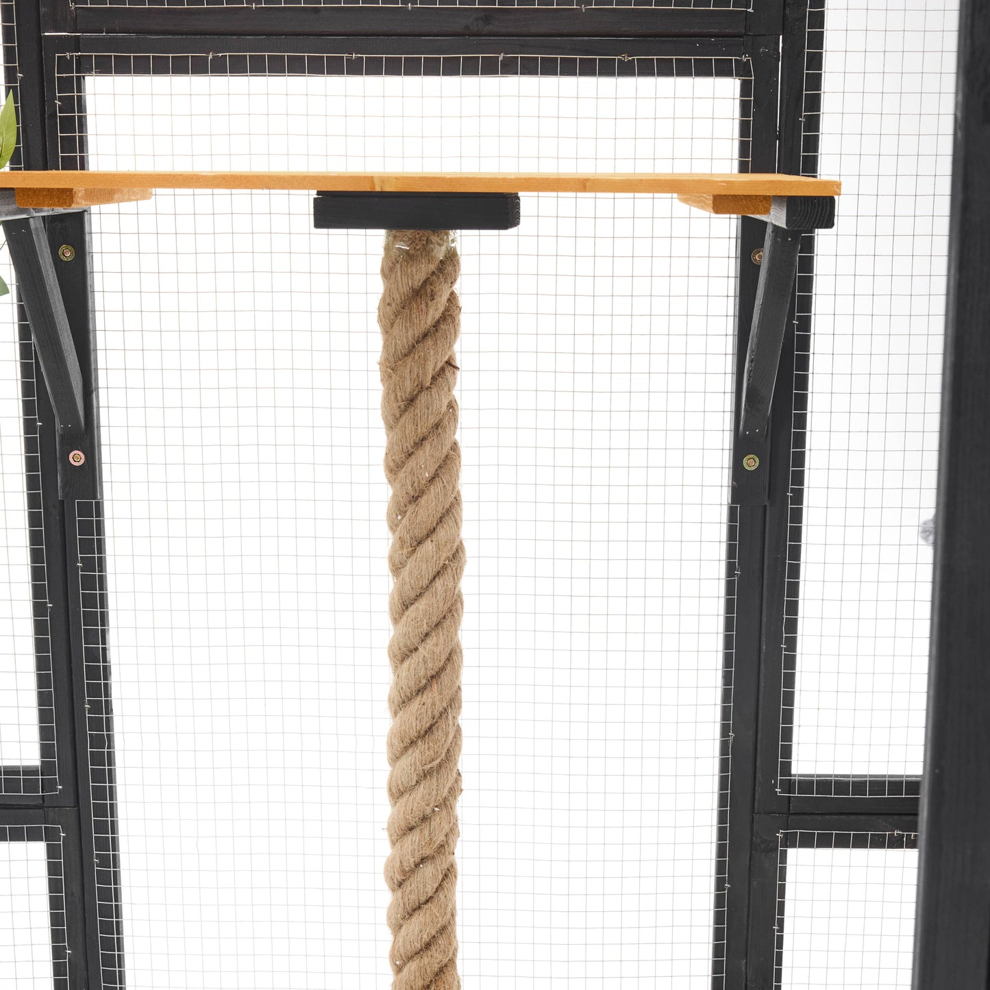 Outdoor Cat House, Diy Cat Enclosure With Double Enter Doors - Black Brown