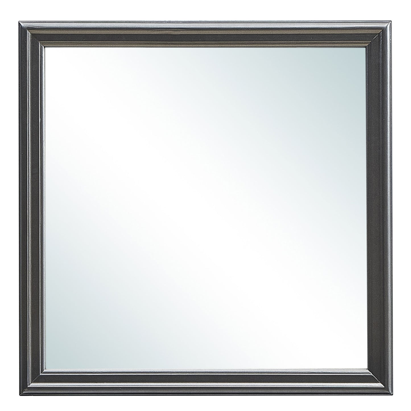 Elegant Transitional Mirror - Metalic Black