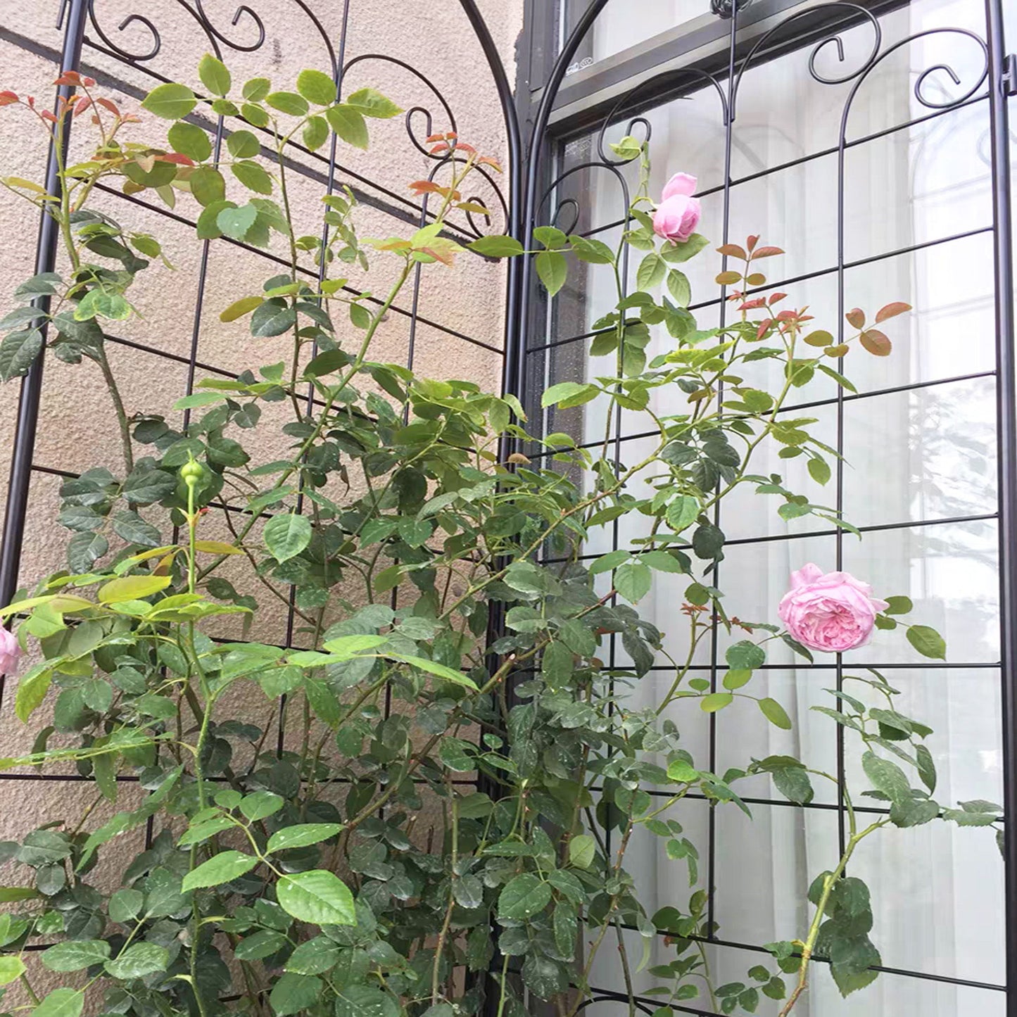 4 Pack Metal Garden Trellis For Climbing Plants Outdoor Rustproof Plant Support Rose Trellis Netting Trellis - Black