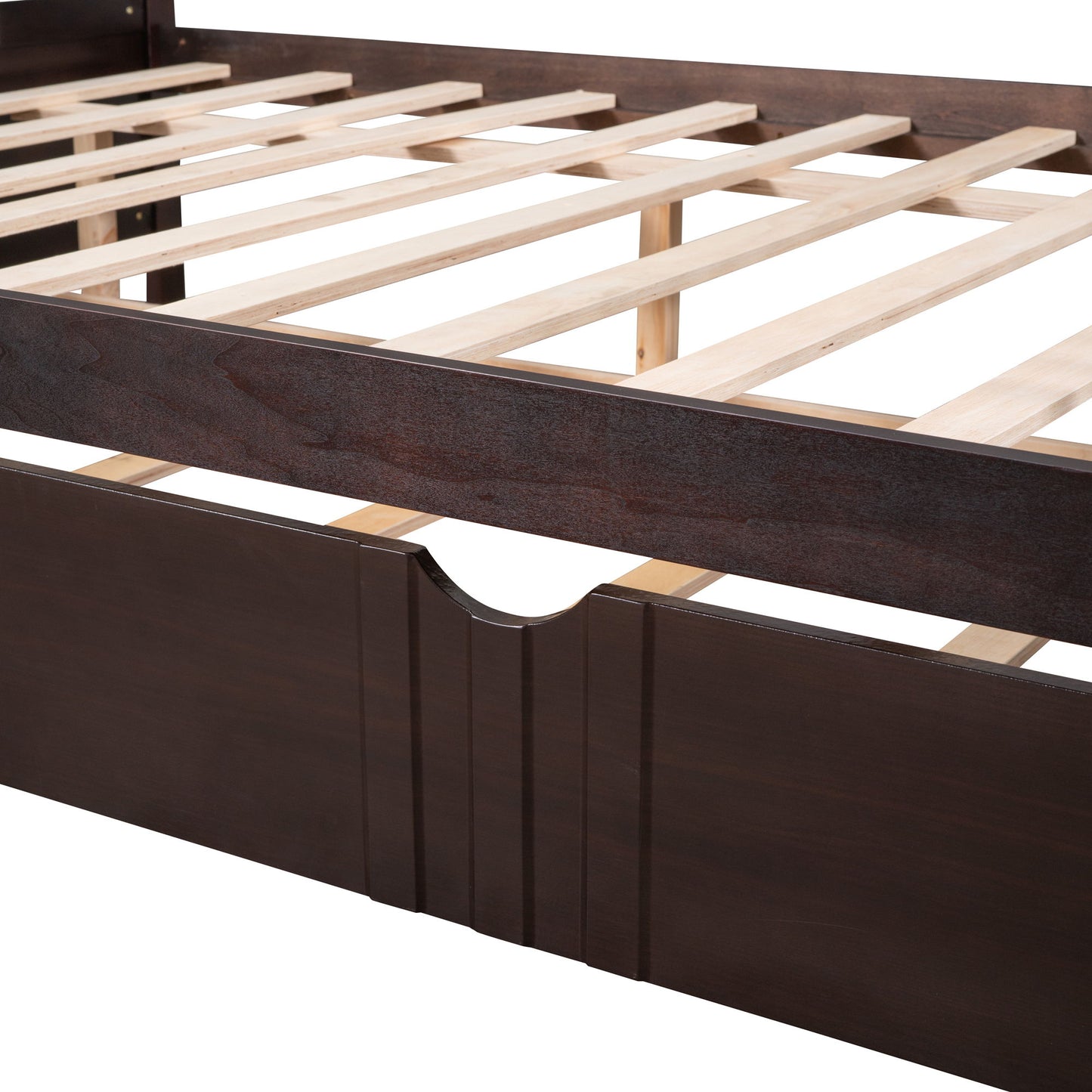 Full Size DayBed With Twin Size Trundle - Espresso