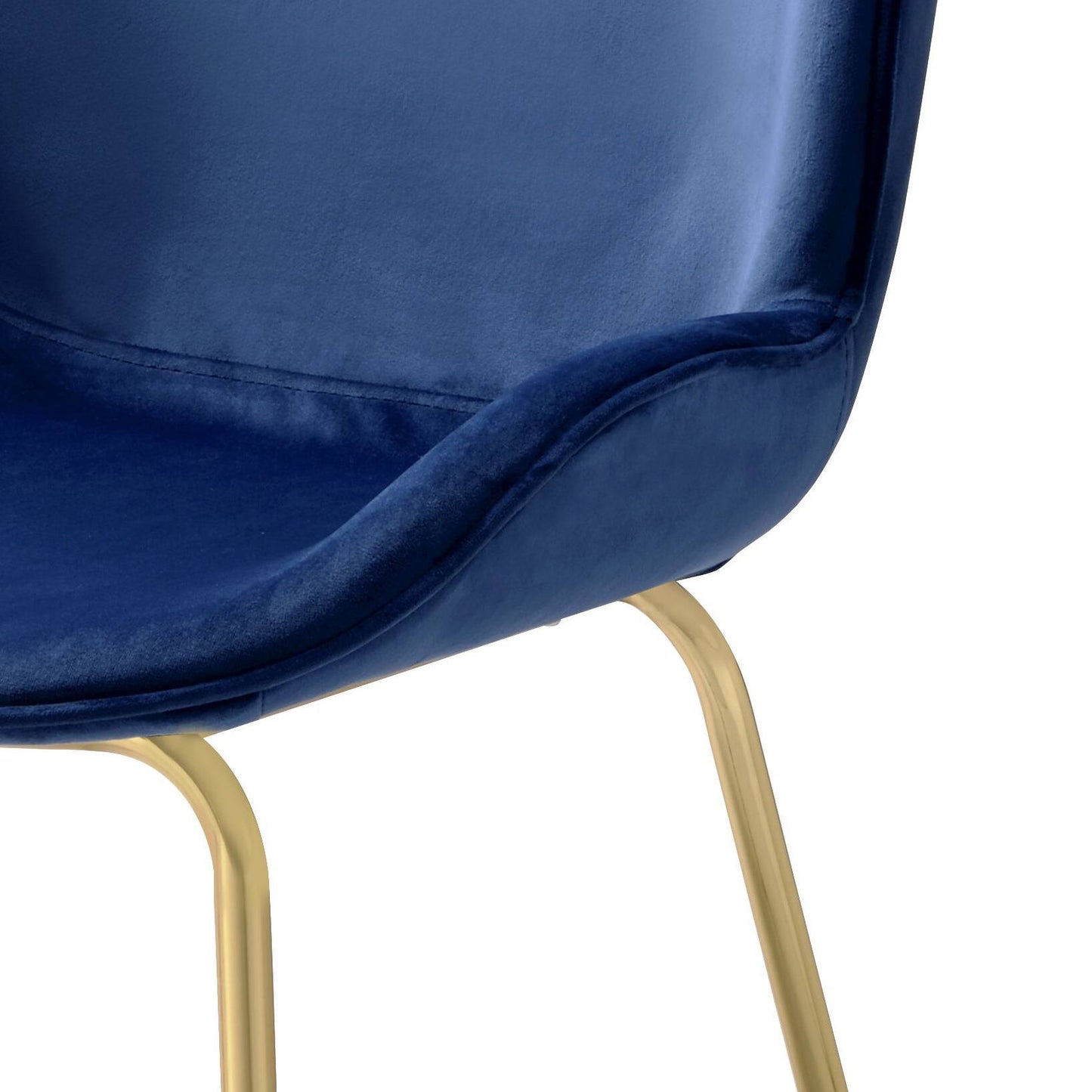Chuchip - Side Chair (Set of 2) - Blue / Gold