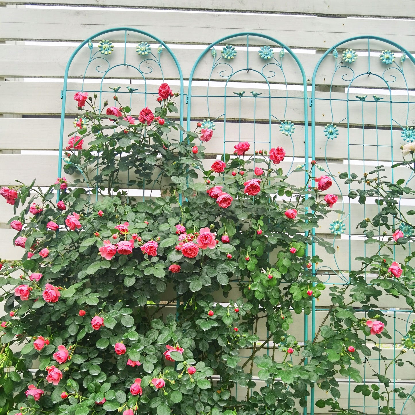 2 Pack Metal Garden Trellis Rustproof Trellis For Climbing Plant Outdoor Flower Support - Green