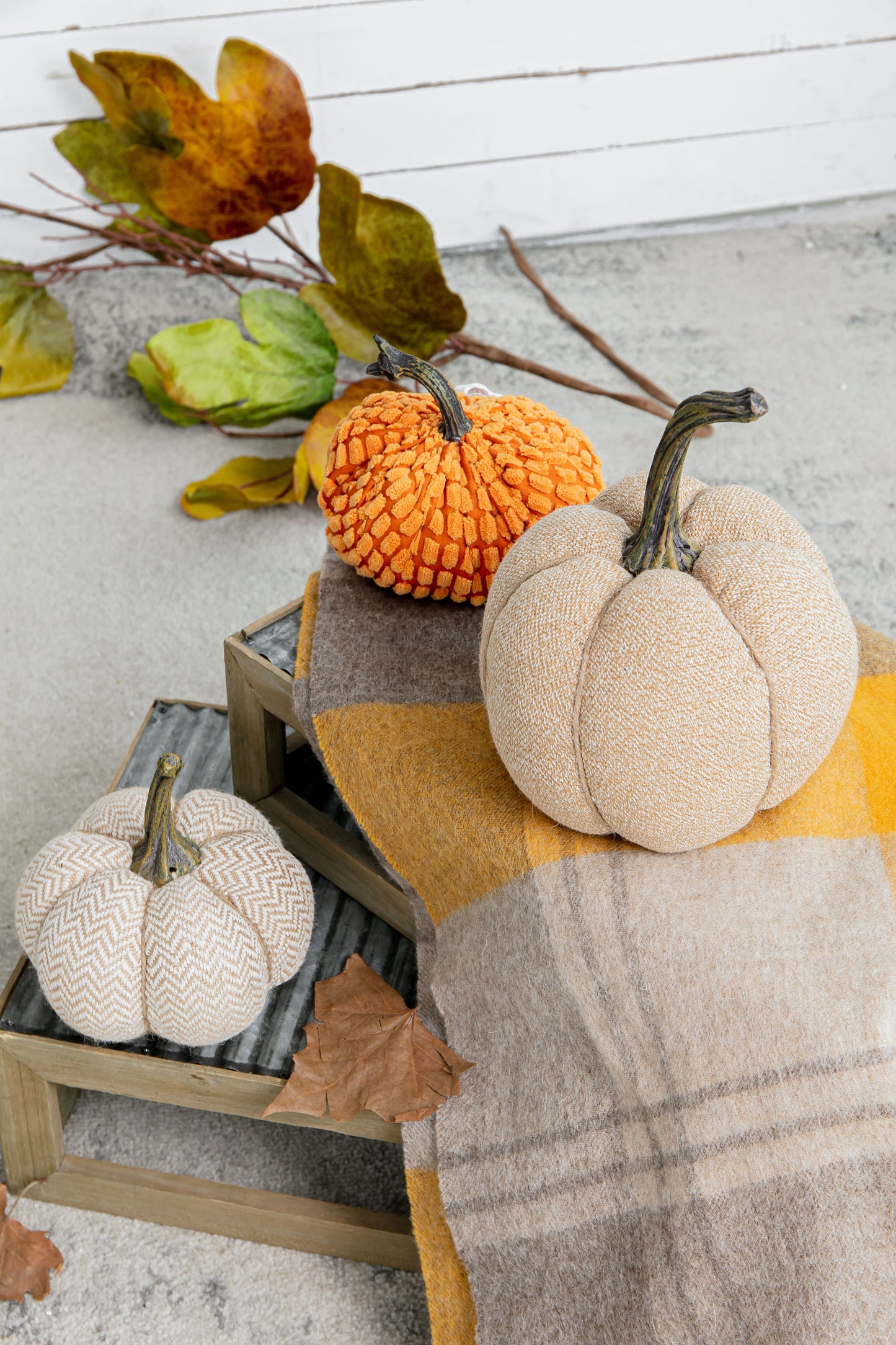Weighted Pumpkin / Pattern (Set of 3) - Cream