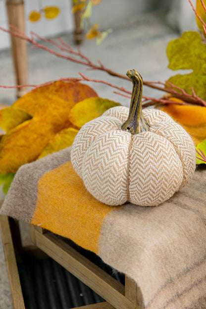 Weighted Pumpkin / Pattern (Set of 3) - Cream