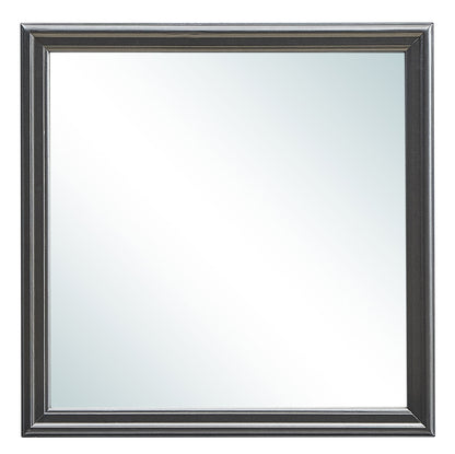 Elegant Transitional Mirror - Metalic Black