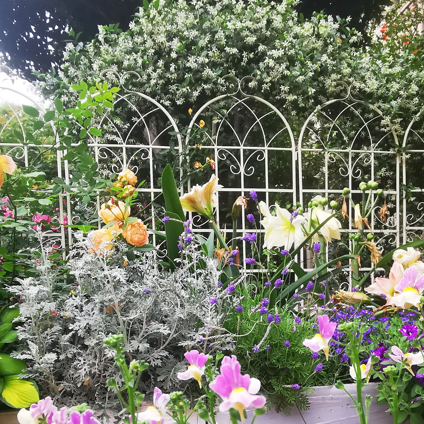 4 Pack Metal Garden Rustproof Trellis For Climbing Plants Outdoor Flower Support - Cream White