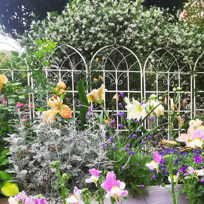 4 Pack Metal Garden Rustproof Trellis For Climbing Plants Outdoor Flower Support - Cream White
