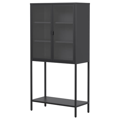 Heavy Duty Metal Storage Cabinet, Sideboards & Buffet, Display Storage Cabinet With Glass Doors And 2 Adjustable Shelves, Tall Bookcase Modern Bookshelf Cabinet For Home Office, Living Room - Black