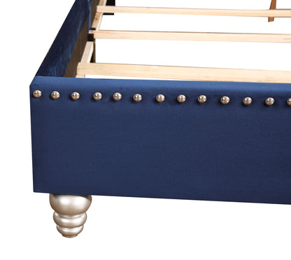 Button Tufted Upholstered Bed - Navy Blue