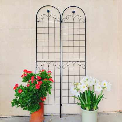 4 Pack Metal Garden Trellis For Climbing Plants Outdoor Rustproof Plant Support Rose Trellis Netting Trellis - Black