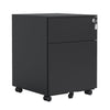 2 Drawer Mobile File Cabinet With Lock Steel File Cabinet For Legal / Letter / A4 / F4 Size/ Home / Office Design - Black