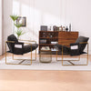 Upholstered Hanging Armchair With Arm Pocketsmetal Frame (Set of 2), Gold-Plated Craftsmanship, Crushed Foam Cushions And Skin-Friendly Woven Fabric For Living Room And Bedroom - Dark Gray