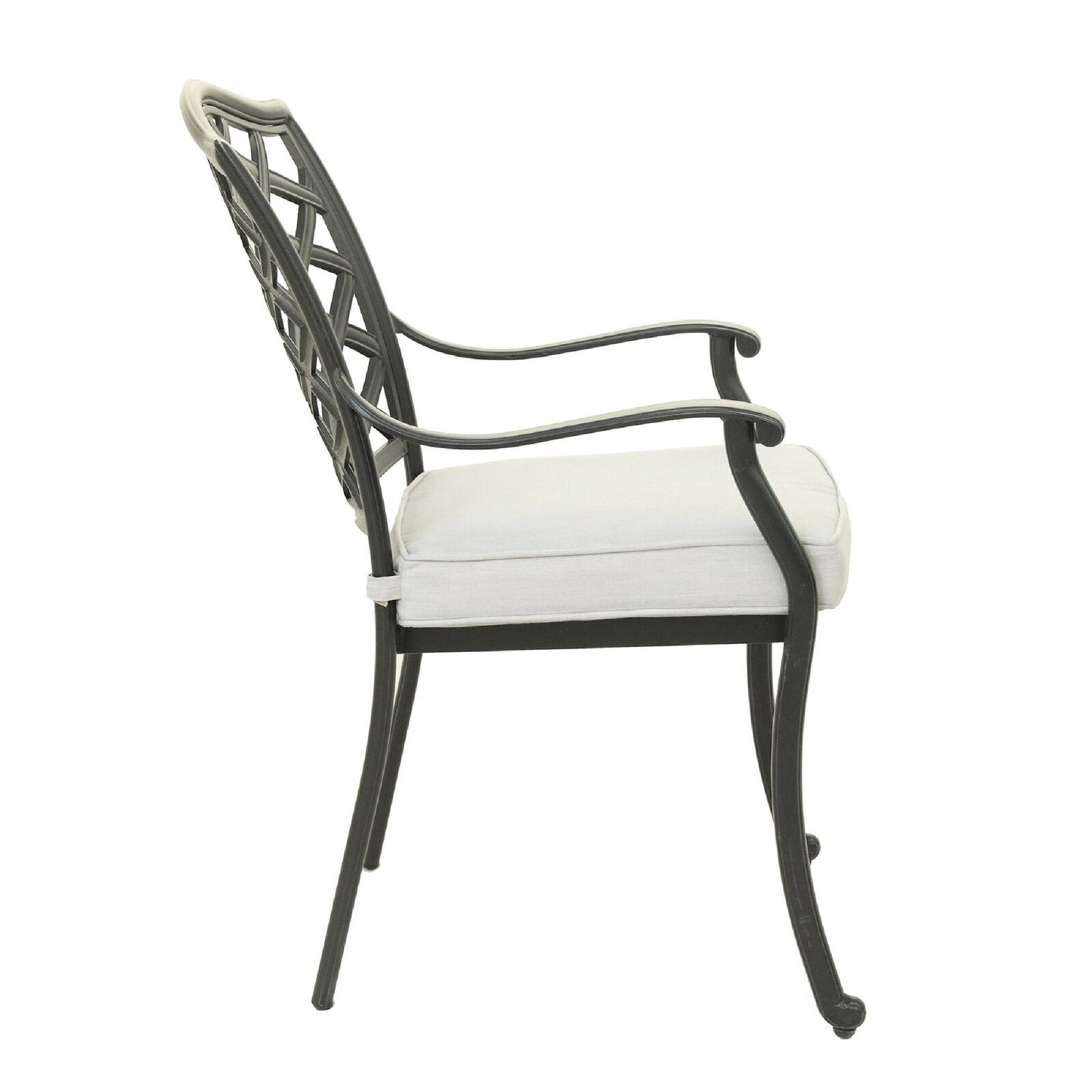 Dining Arm Chair (Set of 2) - Cast Silver