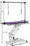 Hydraulic Pet Grooming Table With