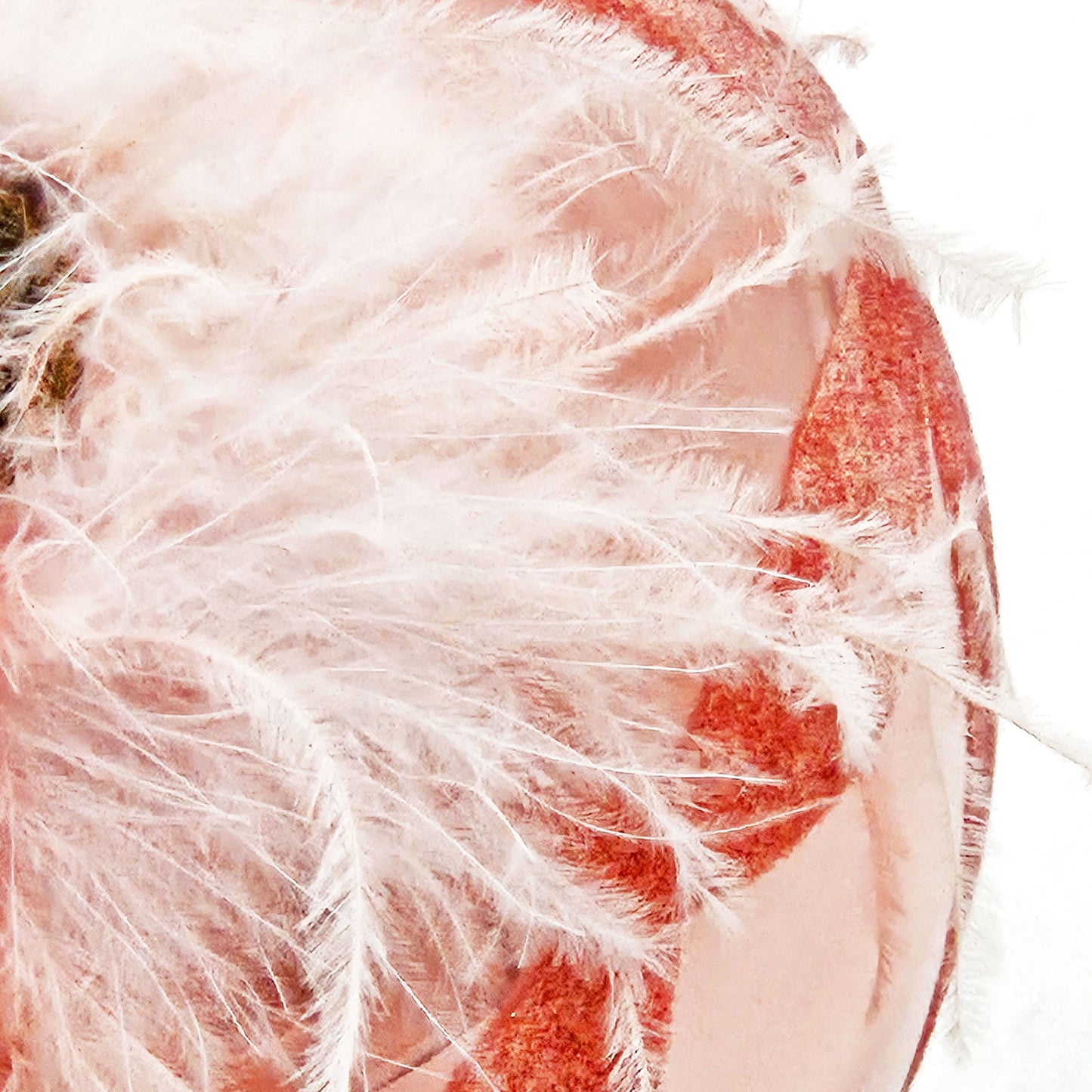 Christmas Ball Ornaments, Glass Decorative Hanging Ball Christmas Tree Ornaments For Holiday Party Decorations (Set of 4) - Pink