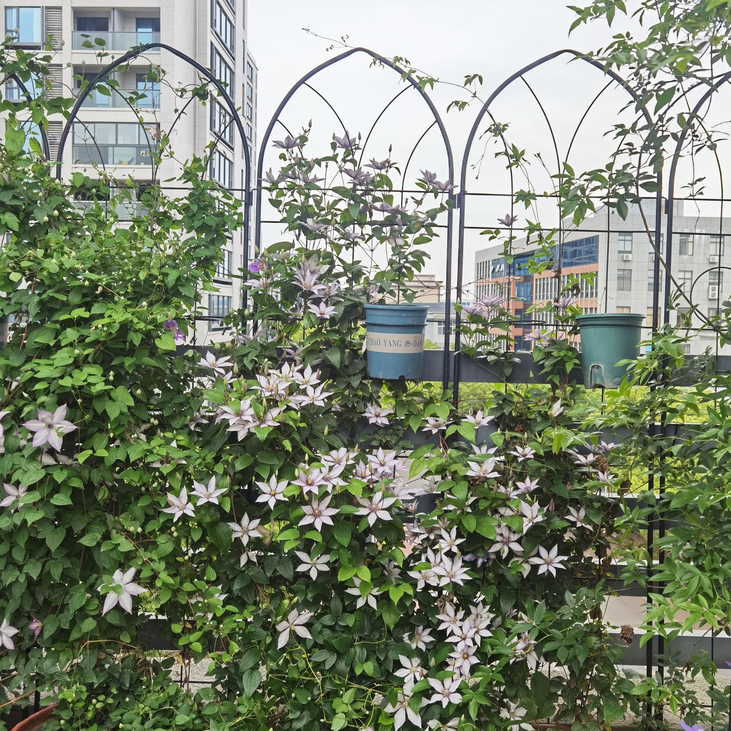 4 Pack Metal Garden Trellis Rustproof Trellis For Climbing Plants Outdoor Flower Support - Black