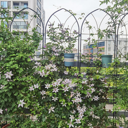 4 Pack Metal Garden Trellis Rustproof Trellis For Climbing Plants Outdoor Flower Support - Black