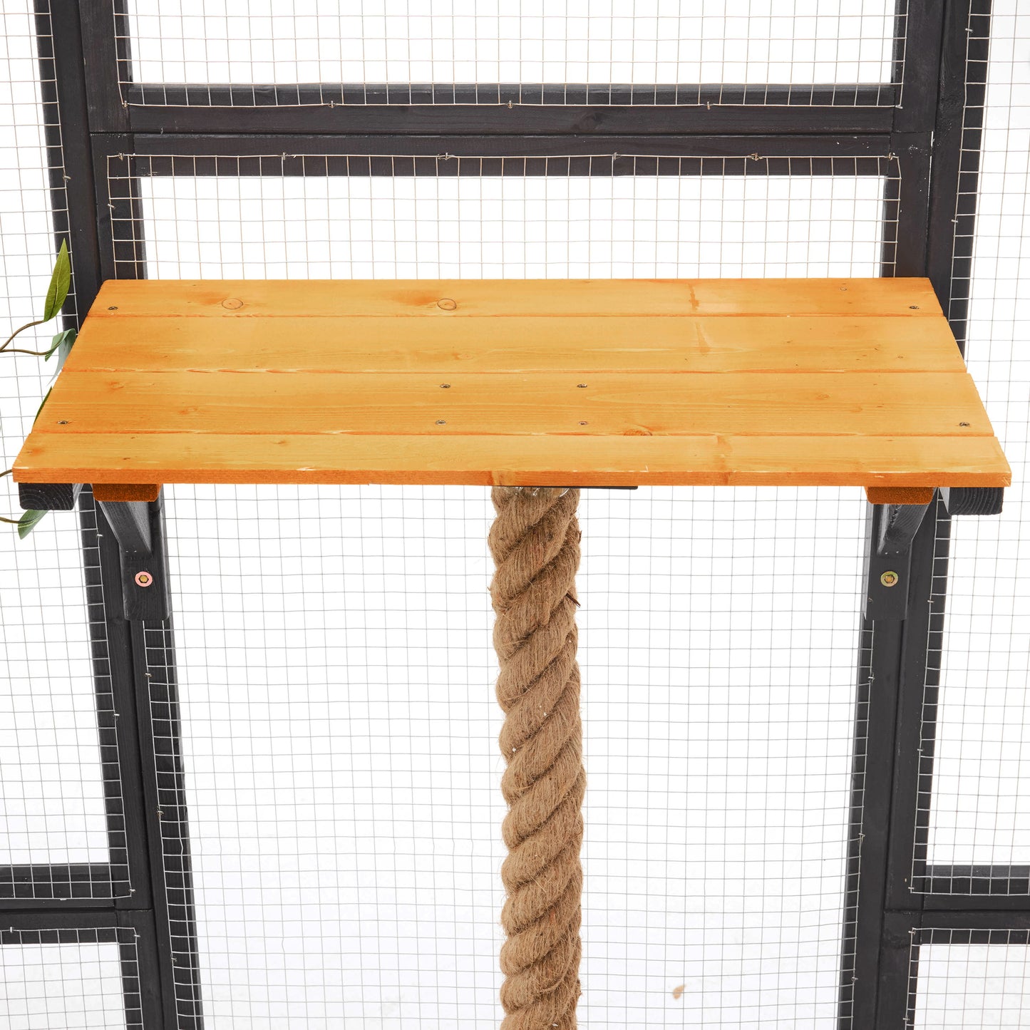 Outdoor Cat House, Diy Cat Enclosure With Double Enter Doors - Black Brown