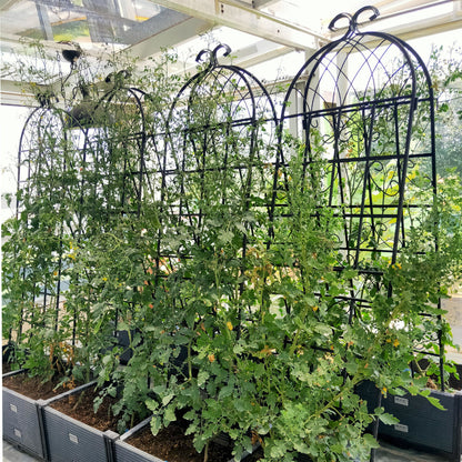 4 Pack Metal Garden Trellis Rustproof Trellis For Climbing Plant Outdoor Flower Support - Black