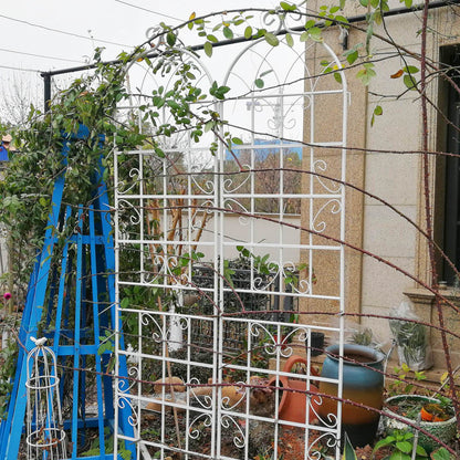 2 Pack Metal Garden Trellis Rustproof For Climbing Plant Outdoor Flower Support - Cream White