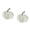 Chenille Weighted Pumpkin Ornament Decor For Holiday Harvest Festival Fall Festival & Thanksgiving (Set of 2) - White