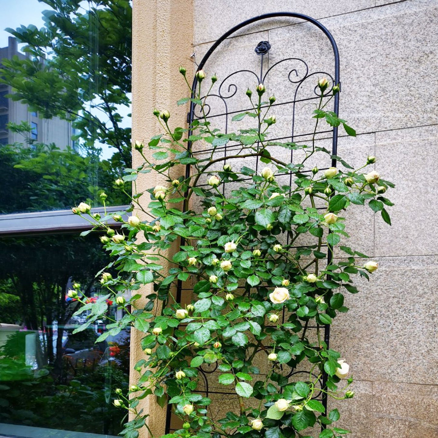 4 Pack Metal Garden Trellis For Climbing Plants Outdoor Rustproof Plant Support Rose Trellis Netting Trellis - Black
