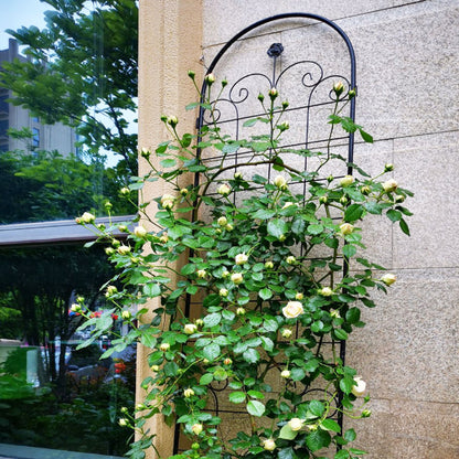 4 Pack Metal Garden Trellis For Climbing Plants Outdoor Rustproof Plant Support Rose Trellis Netting Trellis - Black