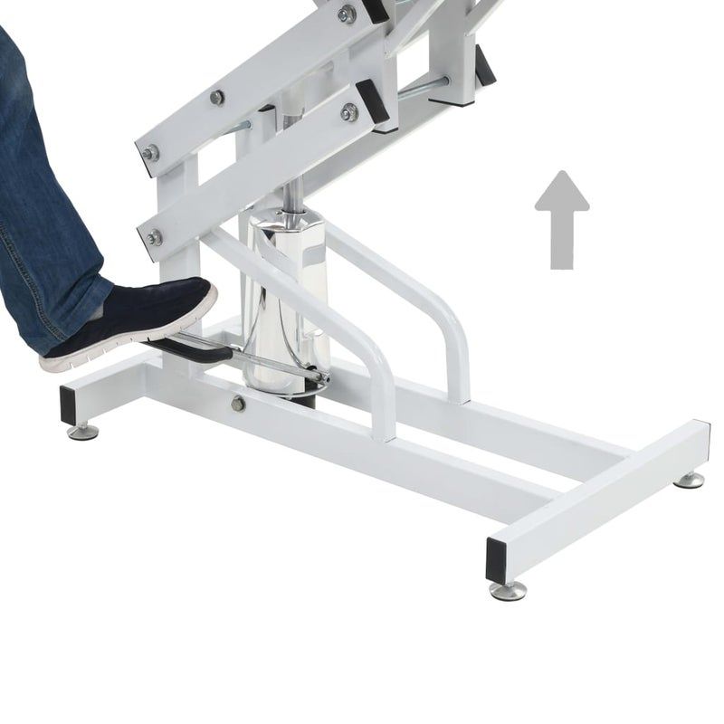 Hydraulic Pet Grooming Table - Purple