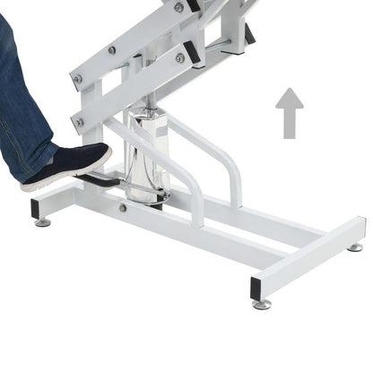 Hydraulic Pet Grooming Table - Purple