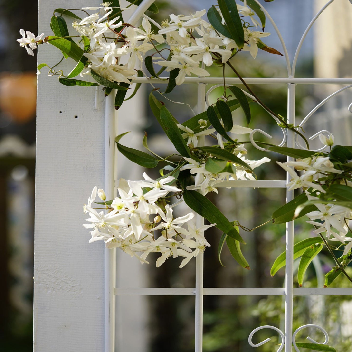 4 Pack Metal Garden Rustproof Trellis For Climbing Plants Outdoor Flower Support - Cream White