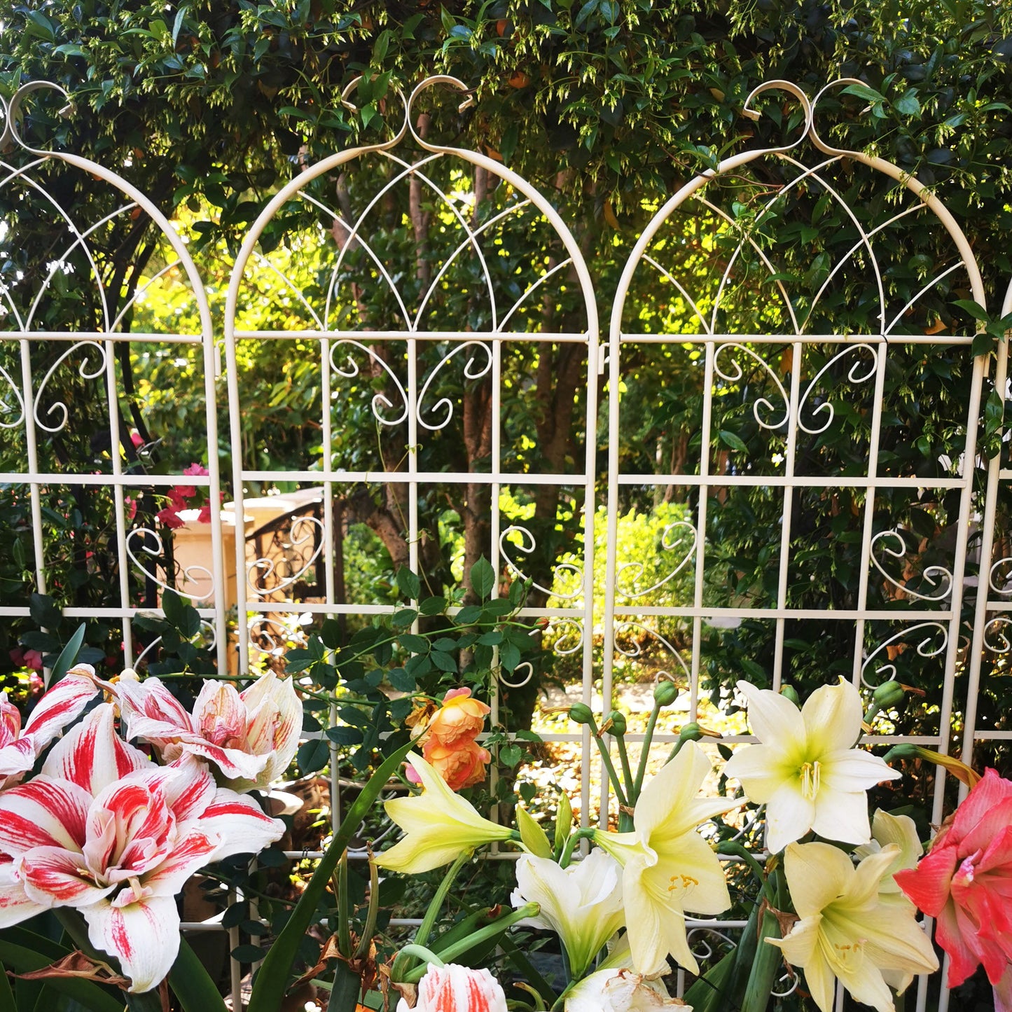 2 Pack Metal Garden Trellis Rustproof For Climbing Plant Outdoor Flower Support - Cream White