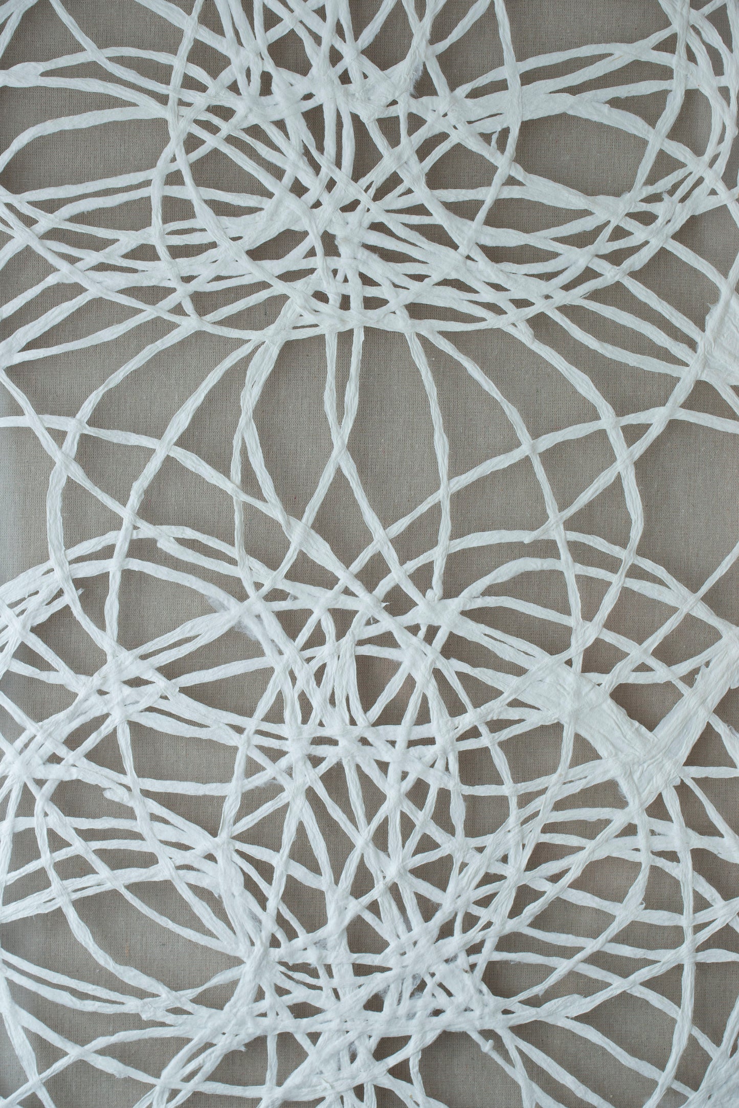 Leaf Shadow Box Wall Decor (Set of 2) - White / Gray