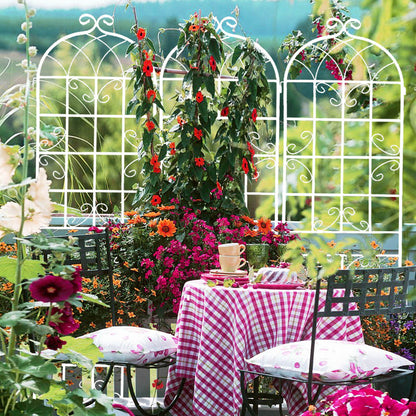 2 Pack Metal Garden Trellis Rustproof For Climbing Plant Outdoor Flower Support - Cream White