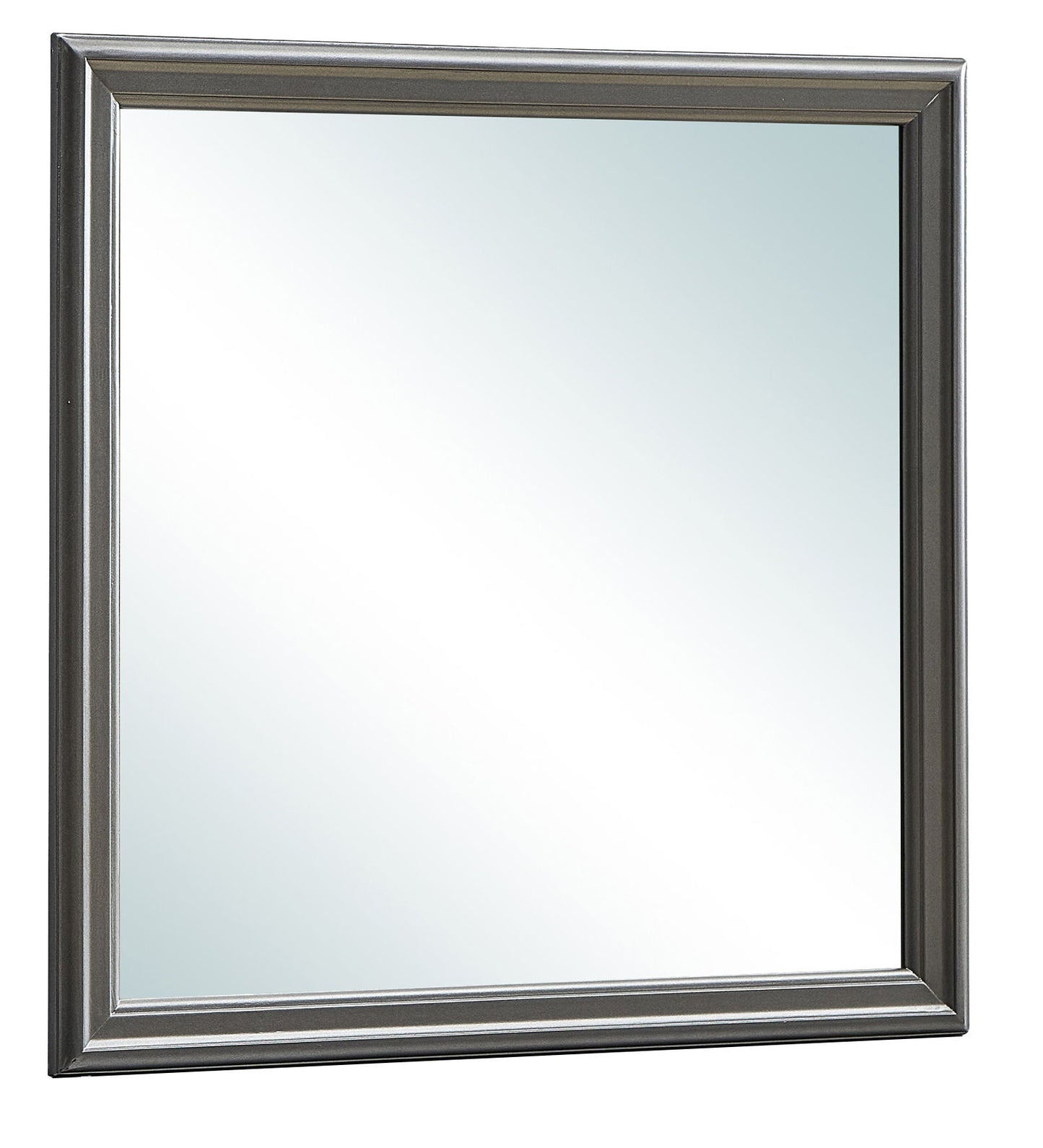 Elegant Transitional Mirror - Metalic Black