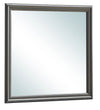Elegant Transitional Mirror - Metalic Black