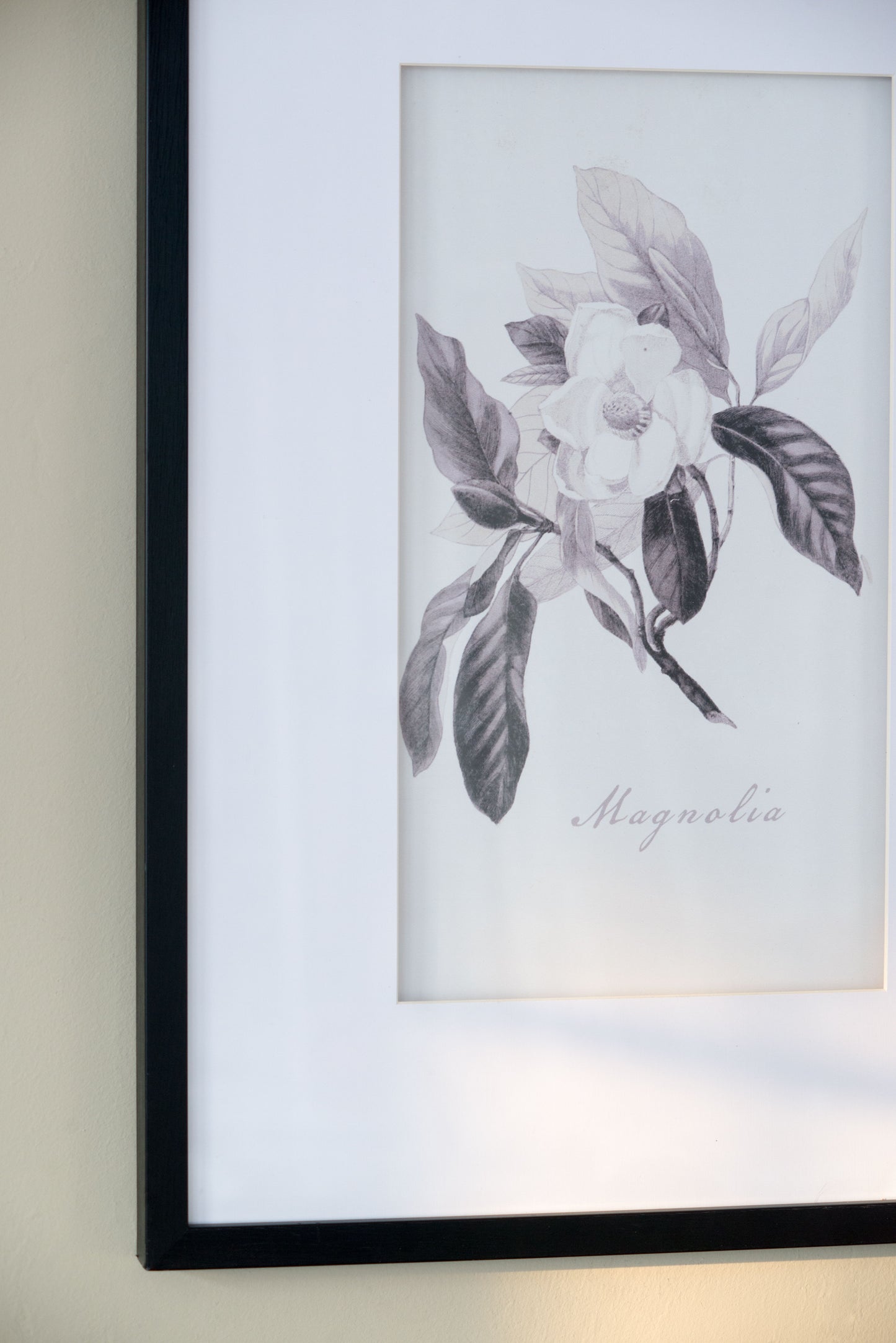 Botanical Wall Art Prints, Home Decor For Living Room Dining Room, Bedroom, Hallway (Set of 4) - White / Black