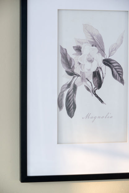Botanical Wall Art Prints, Home Decor For Living Room Dining Room, Bedroom, Hallway (Set of 4) - White / Black