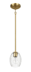 Vista - Single Pendant Chain Hanging Light - Clear / Gold