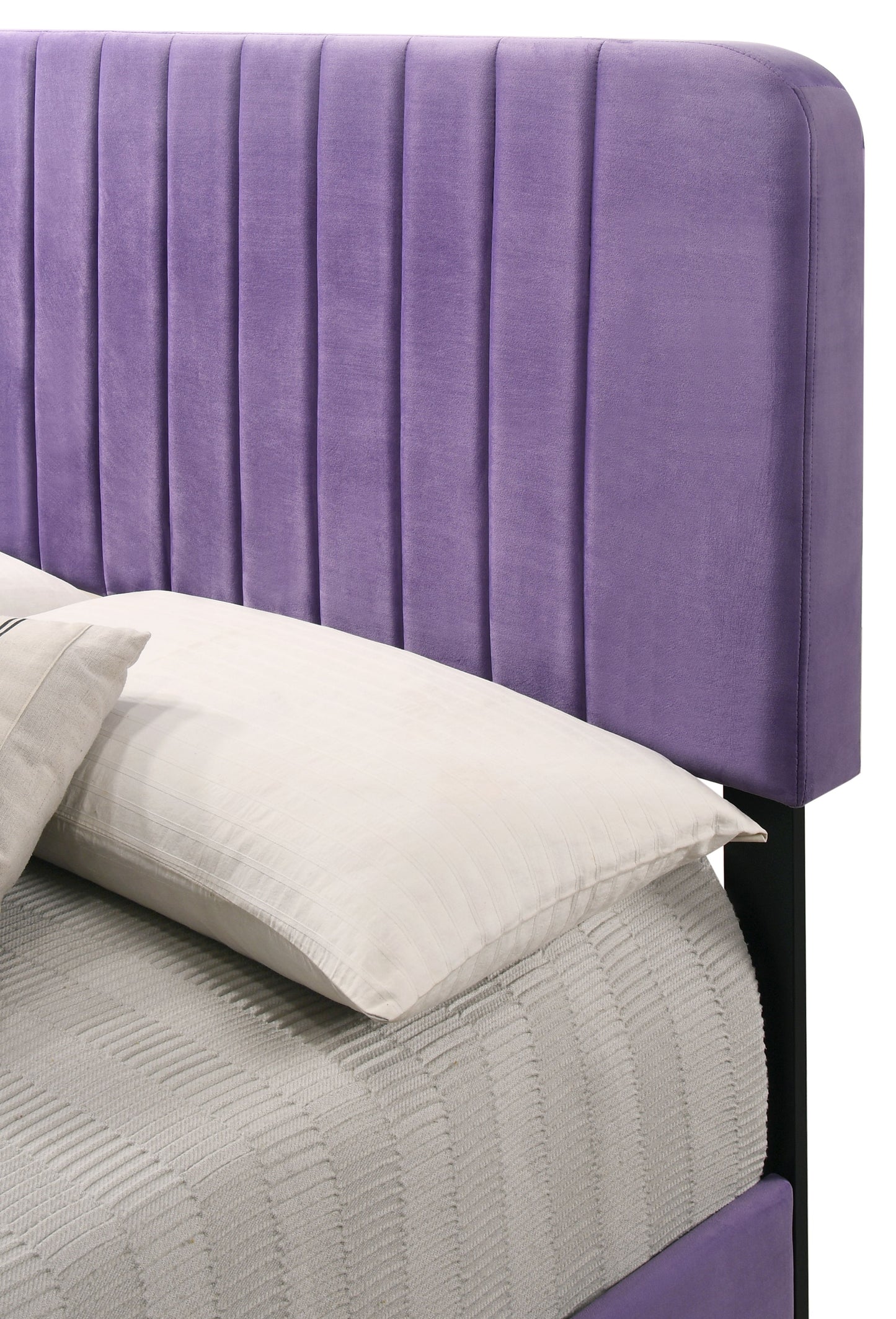 Lodi - Full Bed - Purple