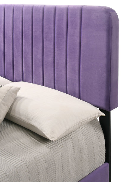 Lodi - Full Bed - Purple