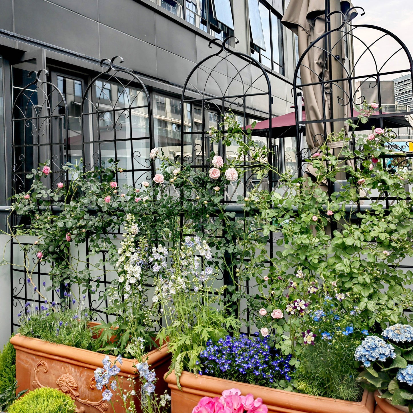4 Pack Metal Garden Trellis Rustproof Trellis For Climbing Plant Outdoor Flower Support - Black