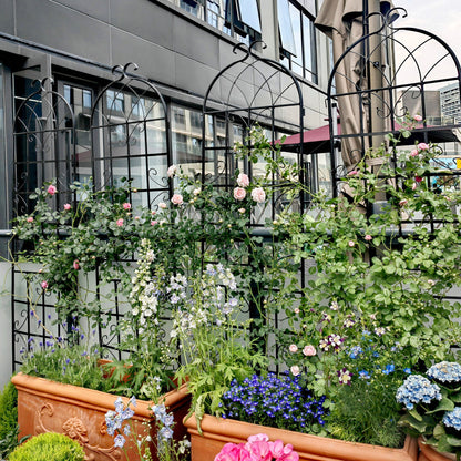 4 Pack Metal Garden Trellis Rustproof Trellis For Climbing Plant Outdoor Flower Support - Black