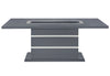 Ariya - Dining Table - Dark Gray