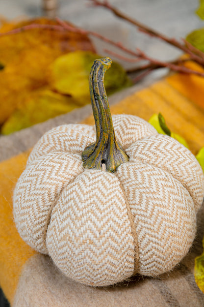 Weighted Pumpkin / Pattern (Set of 3) - Cream
