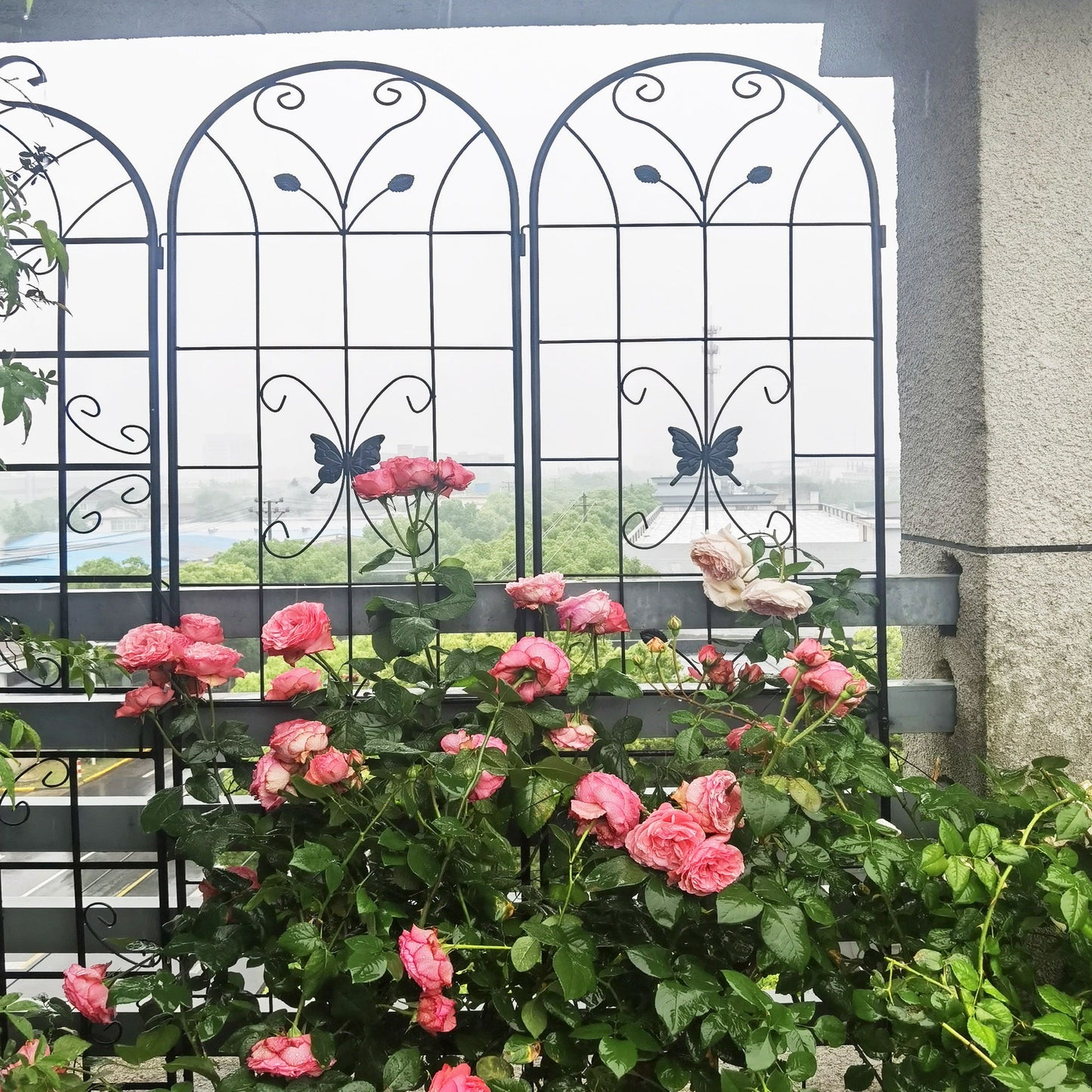 2 Pack Garden Metal Trellis Rustproof Trellis For Climbing Plants Outdoor Flower Support - Black