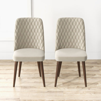 Katie - Mid-Century Modern Dining Chair (Set of 2) - Multi