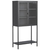 Heavy Duty Metal Storage Cabinet, Sideboards & Buffet, Display Storage Cabinet With Glass Doors And 2 Adjustable Shelves, Tall Bookcase Modern Bookshelf Cabinet For Home Office, Living Room - Black