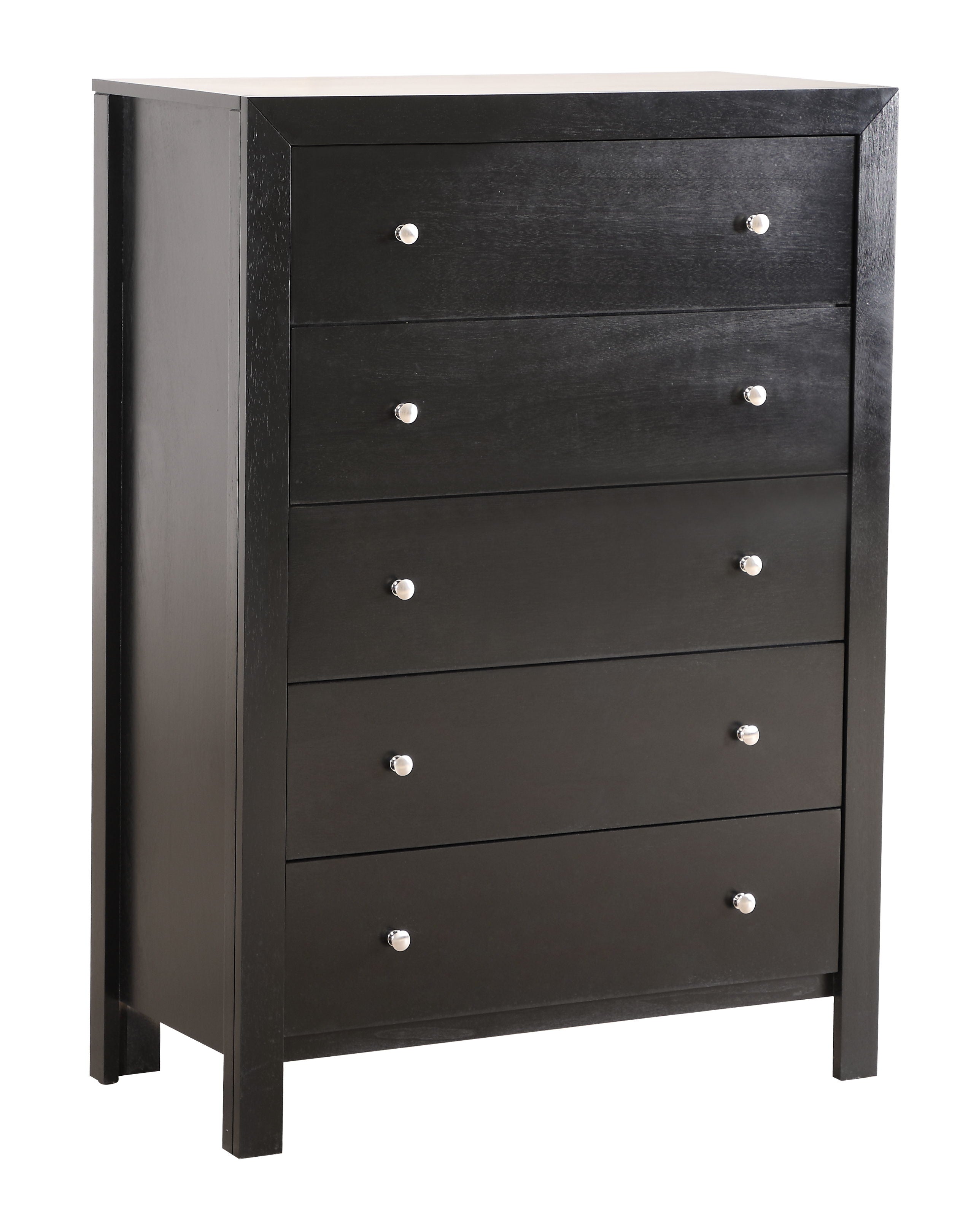 Modern Elegant Transitional Storage Chest - Black