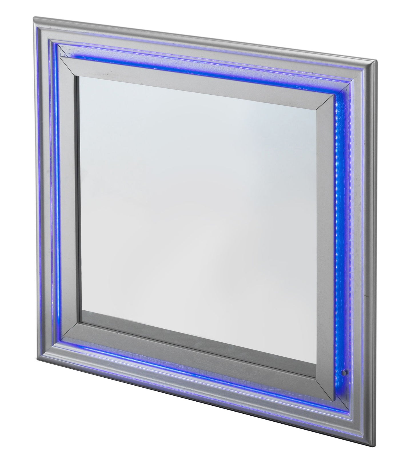 Elegant Transitional LED Accent Mirror 2 - Silver Champagne