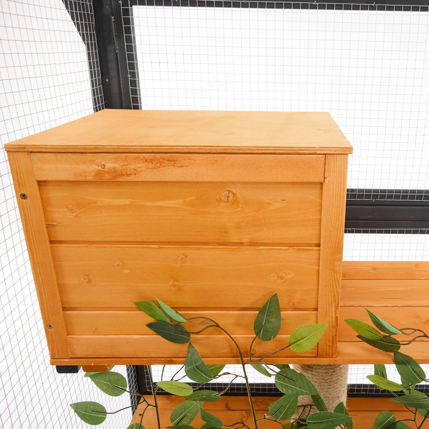 Outdoor Cat House, Diy Cat Enclosure With Double Enter Doors - Black Brown